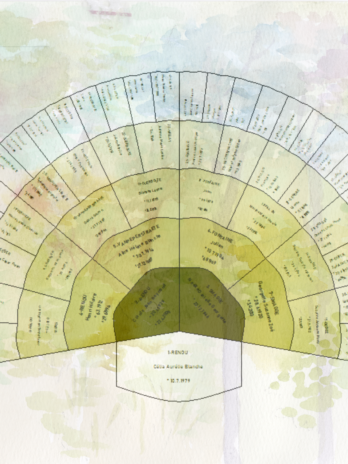 Arbre généalogique 6 générations